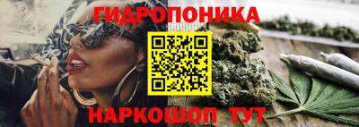 каннабис Гусев
