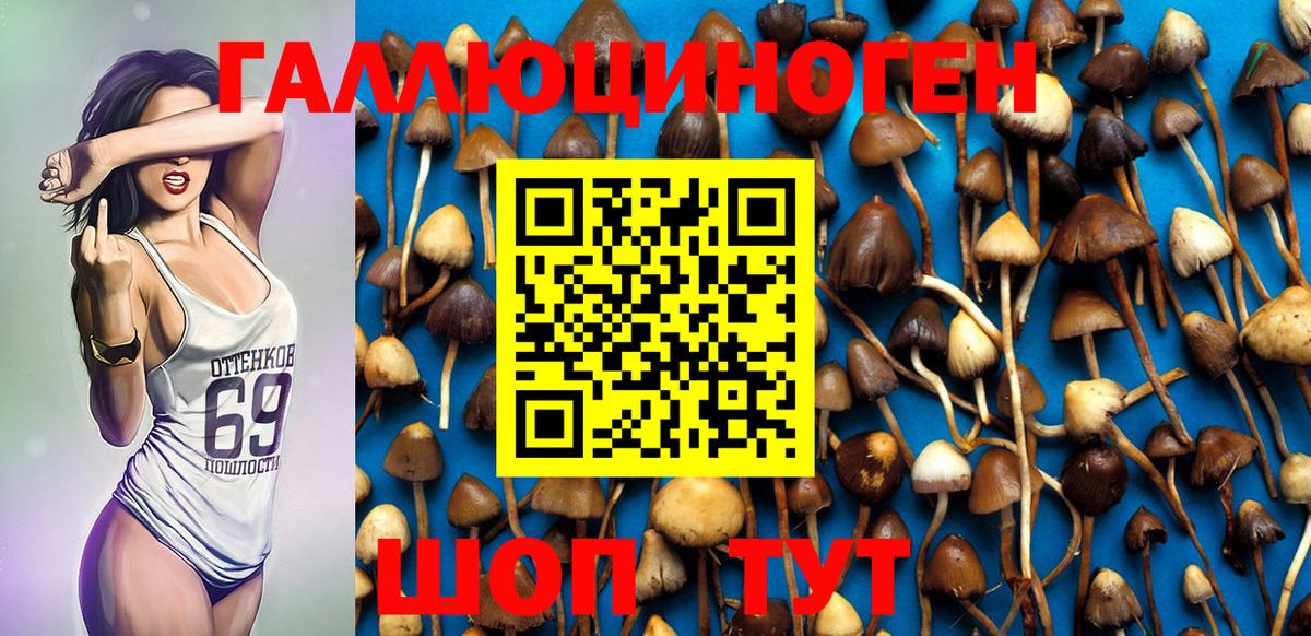 Новодвинск  Галлюциногенные грибы прущие грибы  Псилоцибиновые грибы MAGIC MUSHROOMS  Вход с VPN 